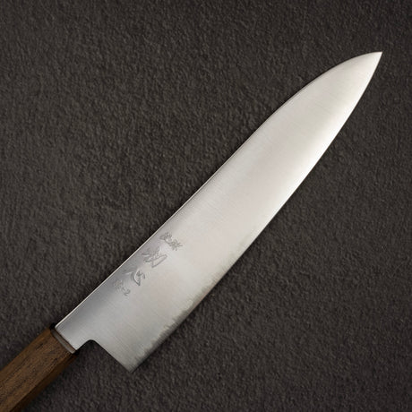 Hatsukokoro Hayabusa SG2 Migaki Gyuto 210mm