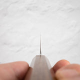 Hatsukokoro Hayabusa SG2 Migaki K-tip Gyuto 210mm