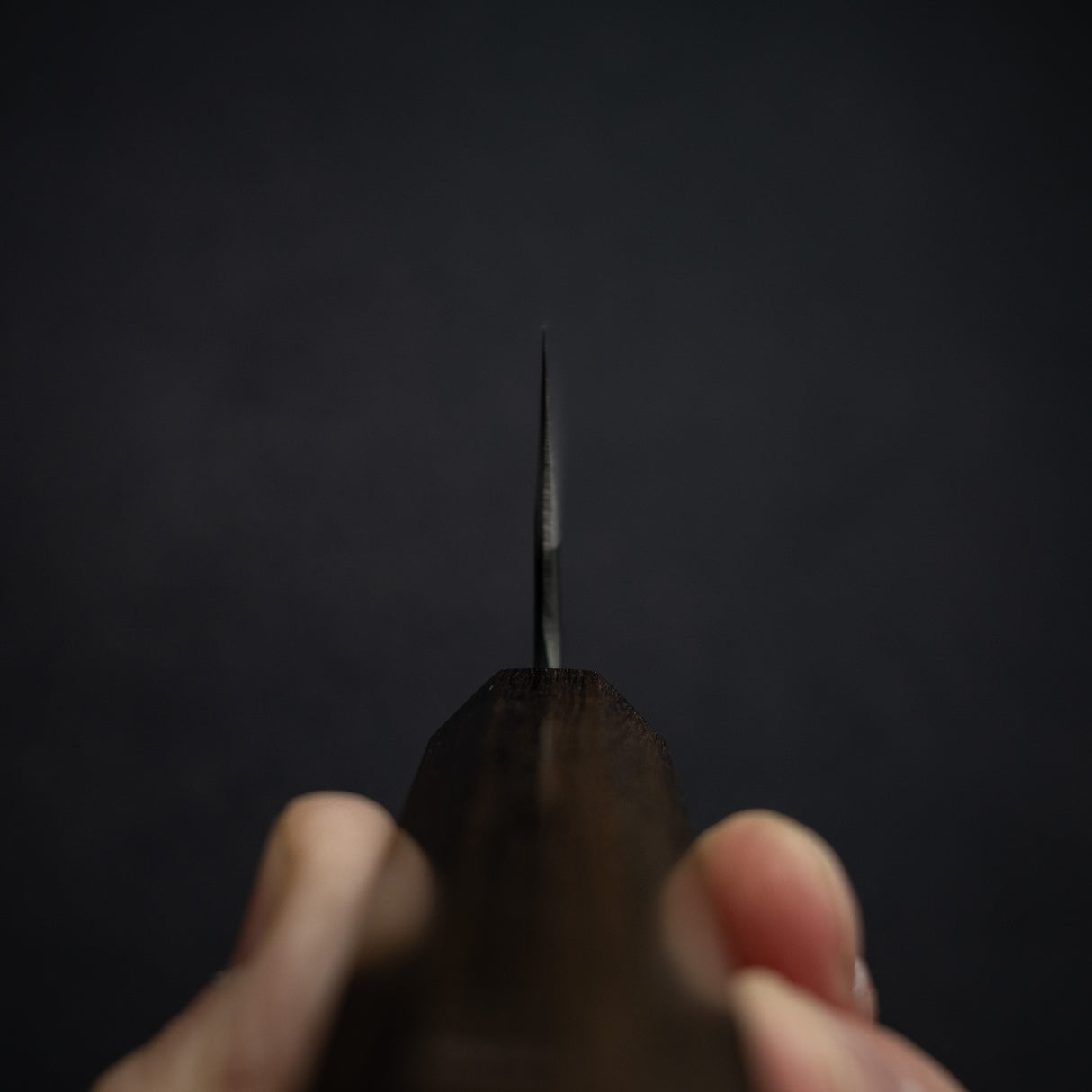 Motokyuuichi Kurosagi AS KU Gyuto 240mm Kurouchi by Hatsukokoro Black Chacate