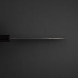Hatsukokoro Ryuhyo SG2 Black Damascus Santoku 180mm