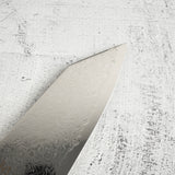 初心 Ryuhyo SG2 大馬士革文化刀 180mm 黑檀握柄