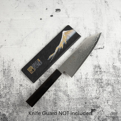 初心 Ryuhyo SG2 大馬士革文化刀 180mm 黑檀握柄