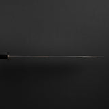 Hatsukokoro Ryuhyo SG2 Damascus Gyuto 210mm