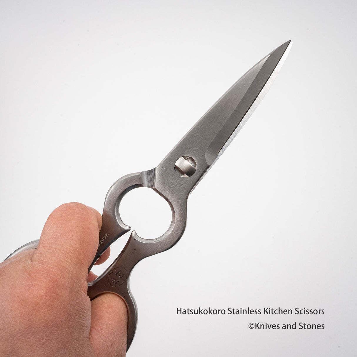 Hatsukokoro Detachable Multi-Purpose Stainless Kitchen Shears / Scissors