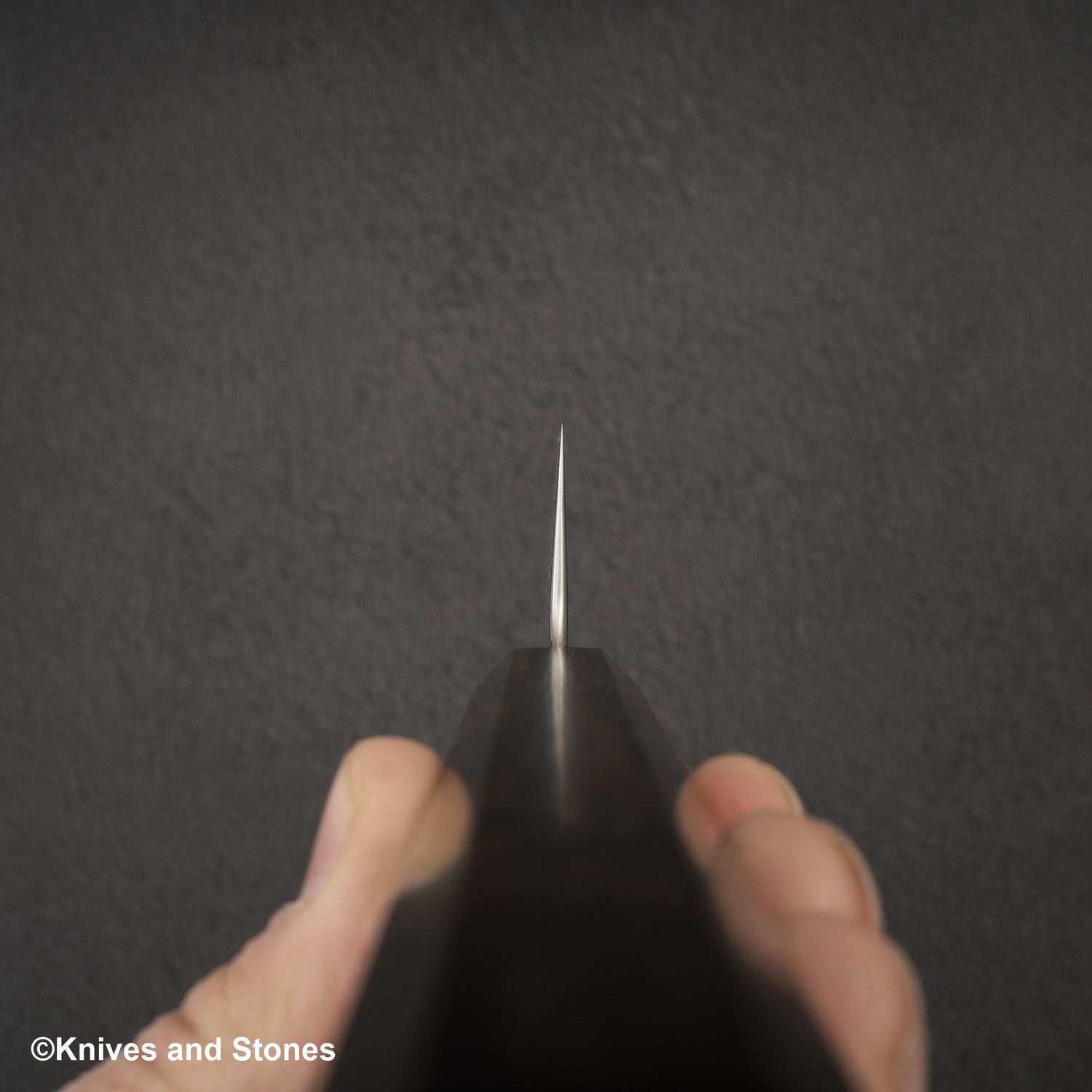 Hatsukokoro Hayabusa VG10 大馬士革土目牛刀 210mm 烏木手柄