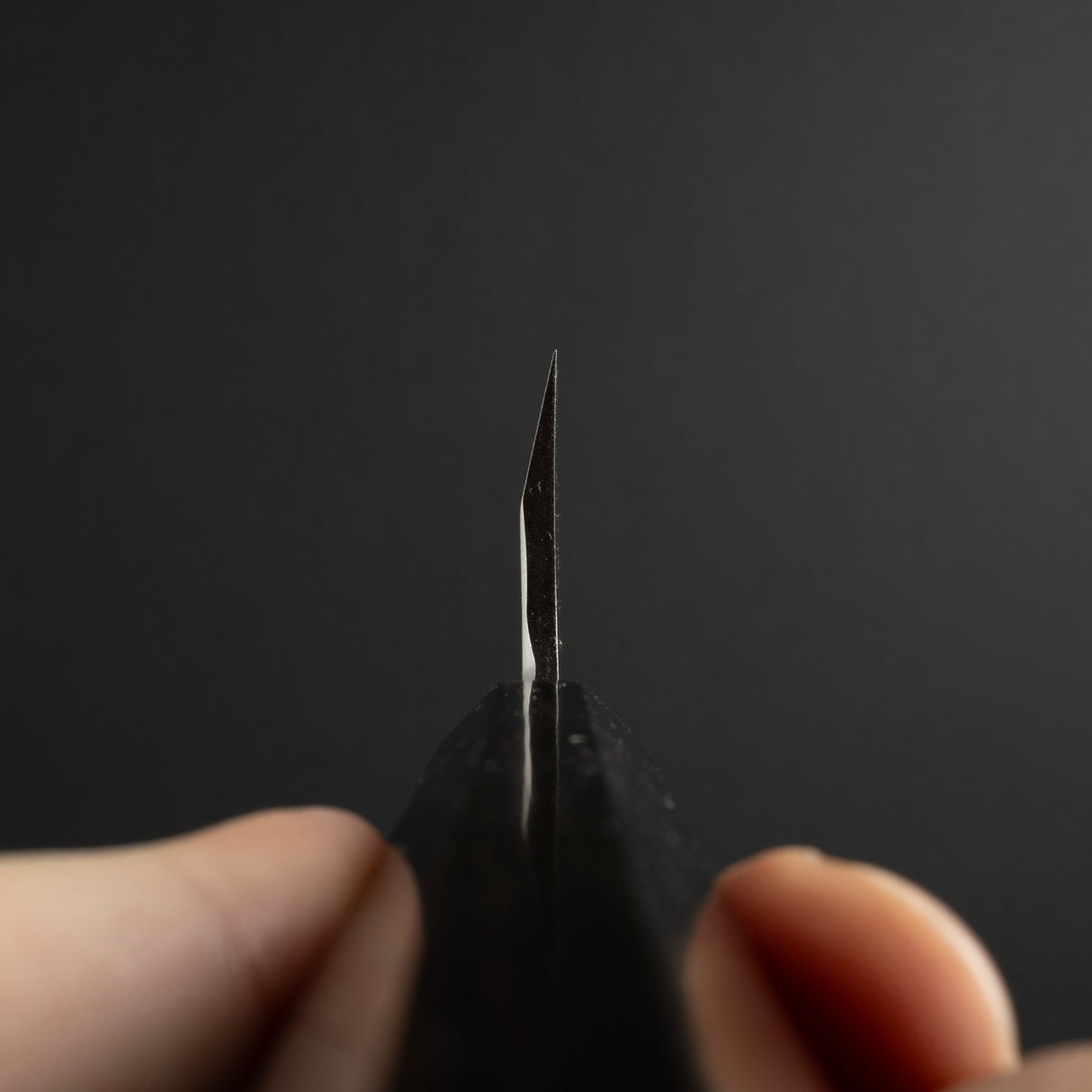 Hatsukokoro x Myojin Shirasagi Ginsan Ko Deba 120mm