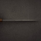 Hatuskokoro Hayabusa Aogami Super Migaki Gyuto 240mm Black Chacate