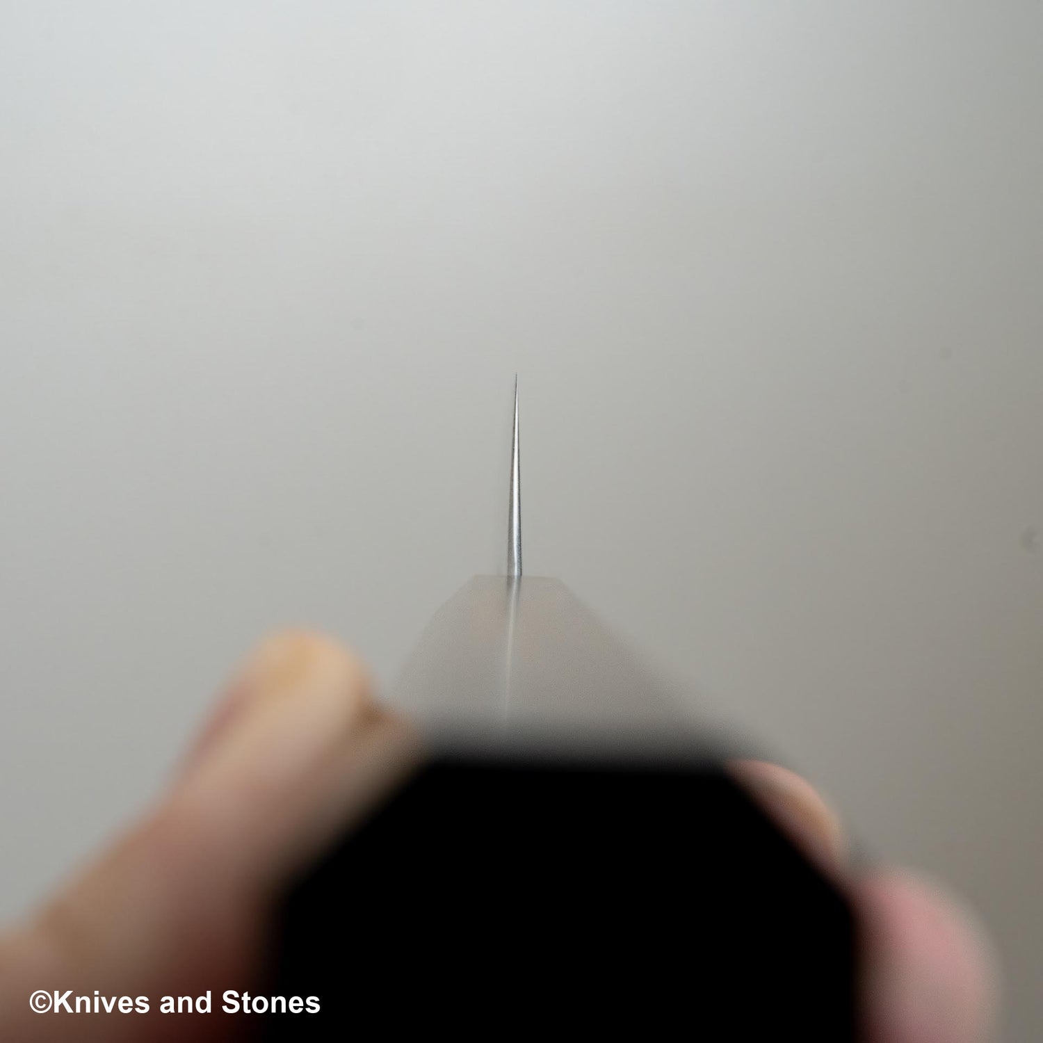 Hatsukokoro Hayabusa Aogami Super Migaki Santoku 180mm Black Chacate