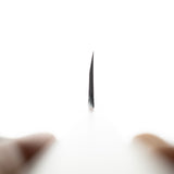 真崎作 Blue 2 Migaki Deba 180mm