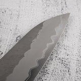 Nigara Aogami (Blue) Super Gyuto 210mm Tsuchime Black Chacate