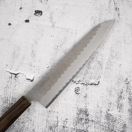 Nigara Aogami (Blue) Super Gyuto 240mm Tsuchime Black Chacate