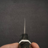 Nigara Anmon (暗紋) SG2 Damascus Kiritsuke (K-tip) Gyuto 210mm