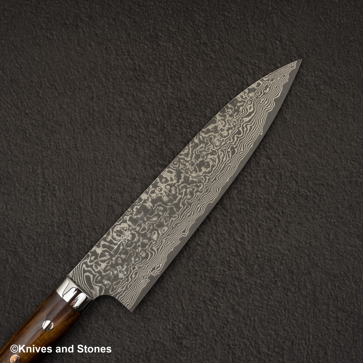 Takeshi Saji SG2 Black Damascus Gyuto 210mm Ironwood