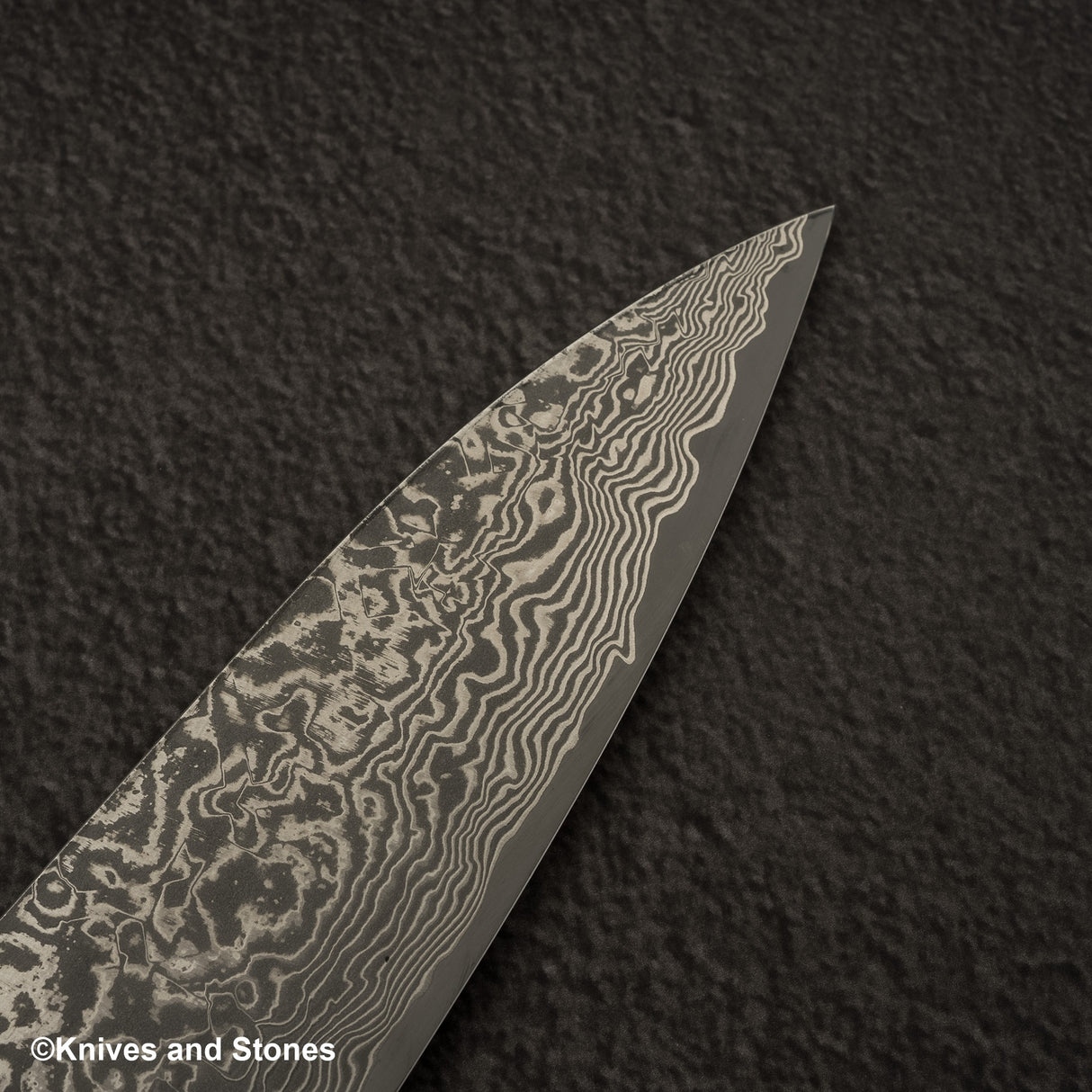 Takeshi Saji SG2 Black Damascus Gyuto 210mm Ironwood