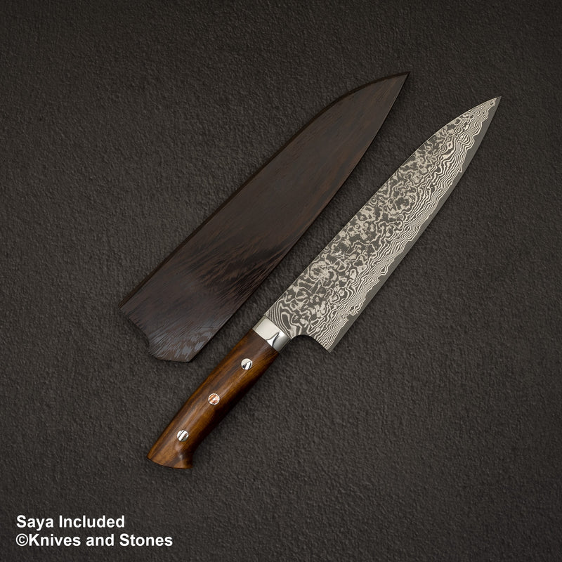 Takeshi Saji SG2 Black Damascus Gyuto 210mm Ironwood