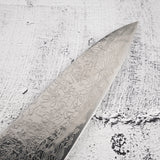 Takeshi Saji SG2 Diamond Damascus Gyuto 180mm Ironwood Handle