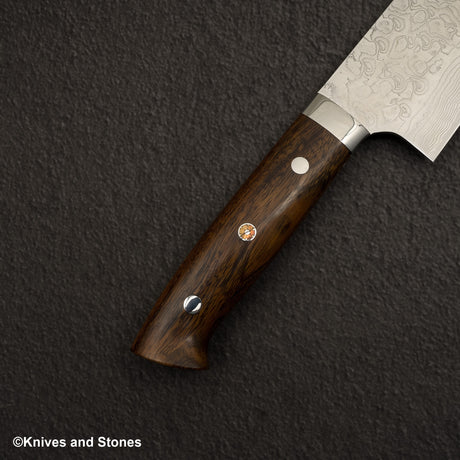 Takeshi Saji SG2 Diamond Damascus Gyuto 270mm Ironwood