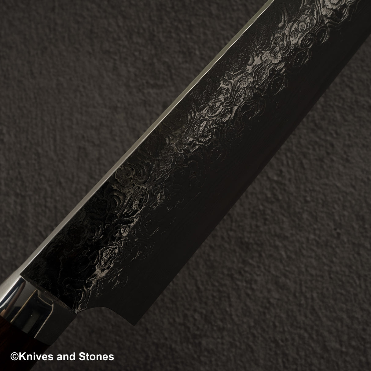 Takeshi Saji SG2 Diamond Damascus Gyuto 270mm Ironwood