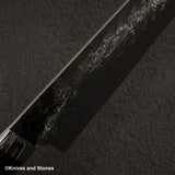 Takeshi Saji SG2 Diamond Damascus Gyuto 270mm Ironwood