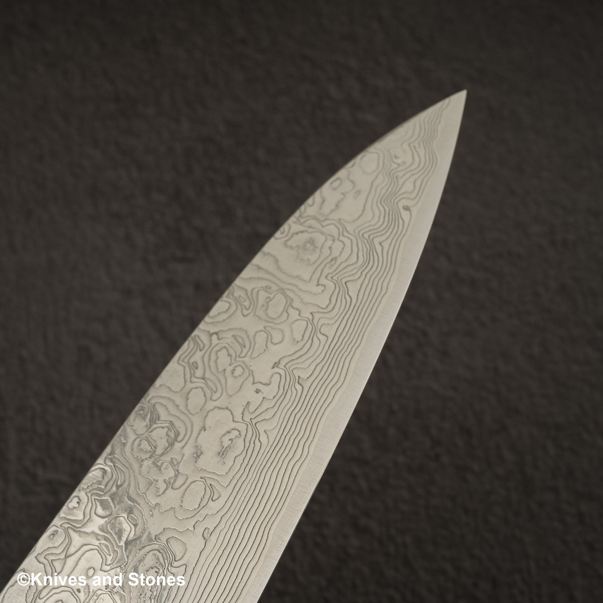 Takeshi Saji SG2 Diamond Damascus Gyuto 270mm Ironwood