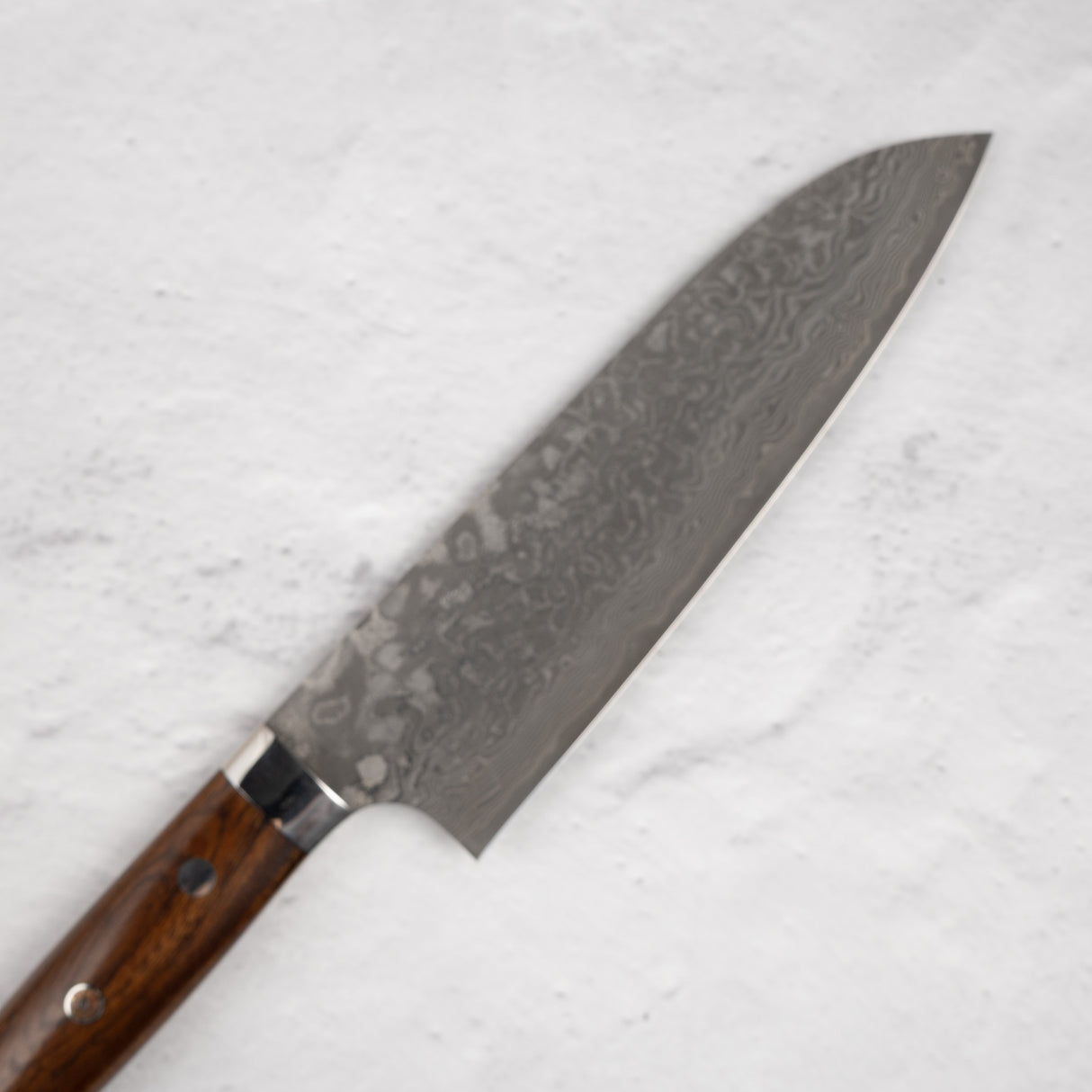 Takeshi Saji Black Damascus Santoku 180mm SG2 Ironwood