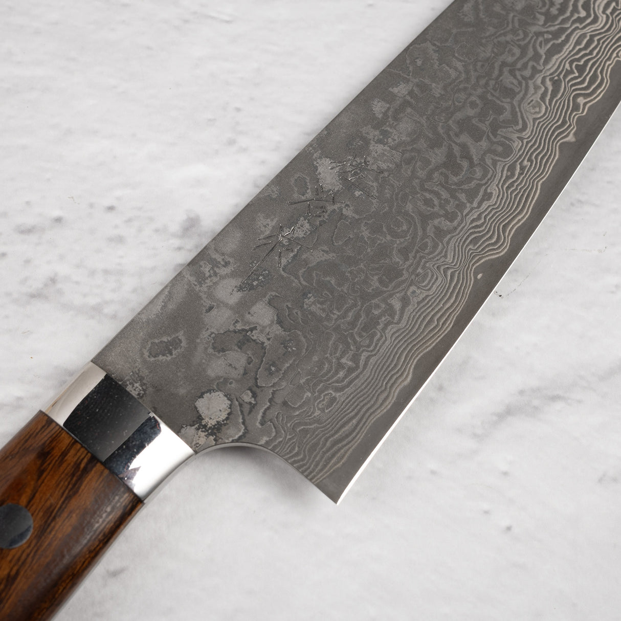 Takeshi Saji Black Damascus Santoku 180mm SG2 Ironwood