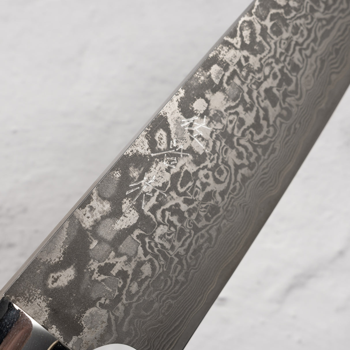 Takeshi Saji Black Damascus Santoku 180mm SG2 Ironwood