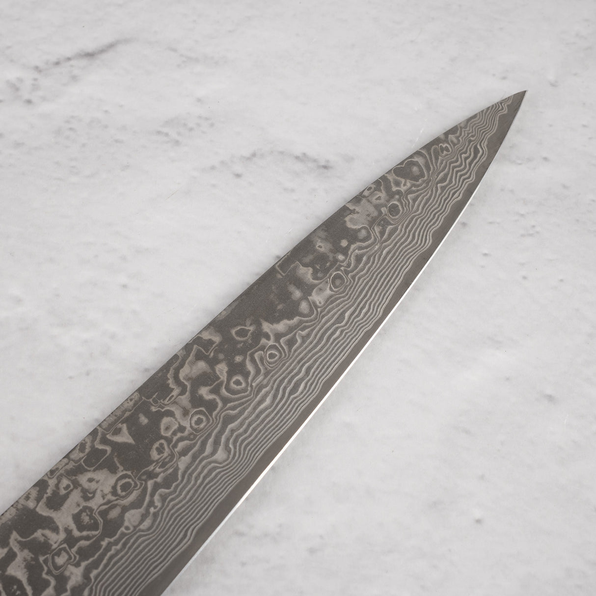 Saji Black Damascus Sujihiki 240mm SG2 Stag Handle
