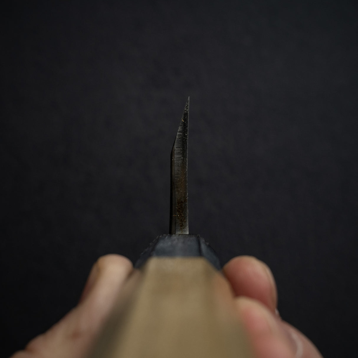 Sakai Takayuki Ginsanko Deba 165mm with Ho Wood Handle Chef Series