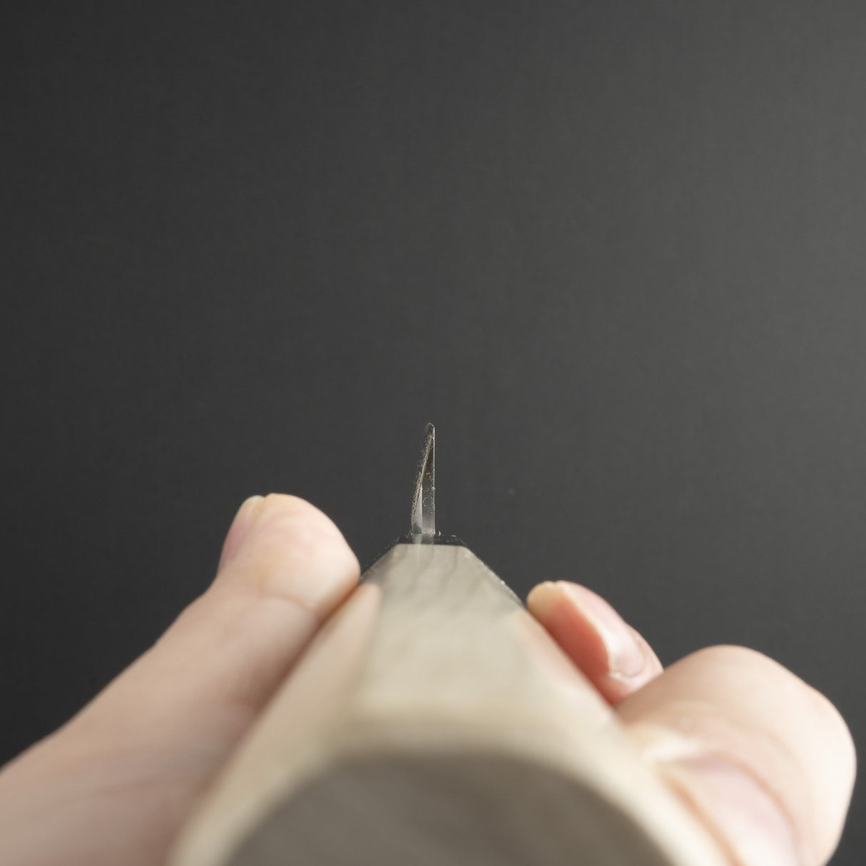 Sakai Takayuki Ginsan Hienn Kiritsuke Yanagiba 300mm