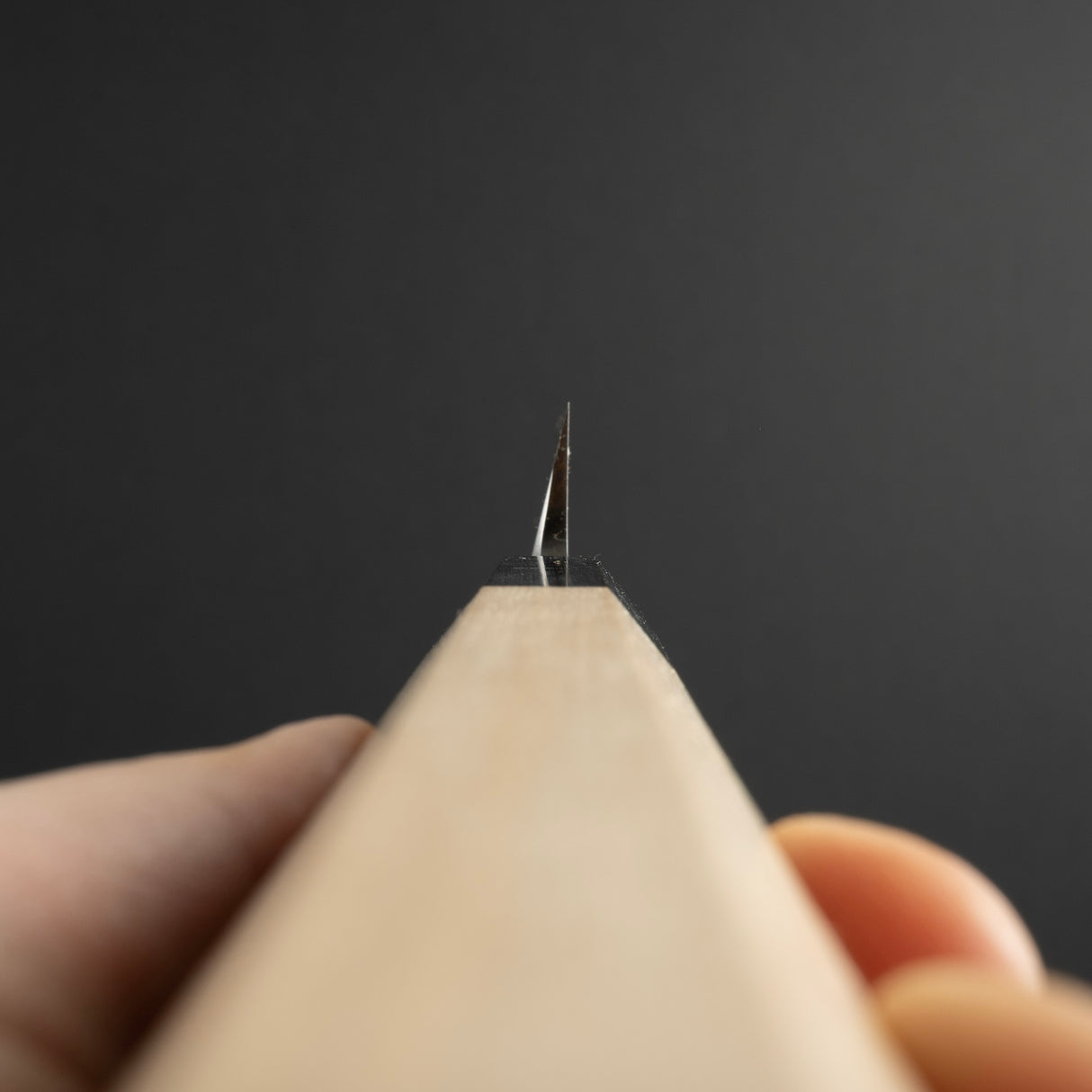 Sakai Takayuki Ginsan Yanagiba 270mm