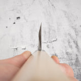 Sakai Takayuki Gintan Ginsanko Deba 210mm