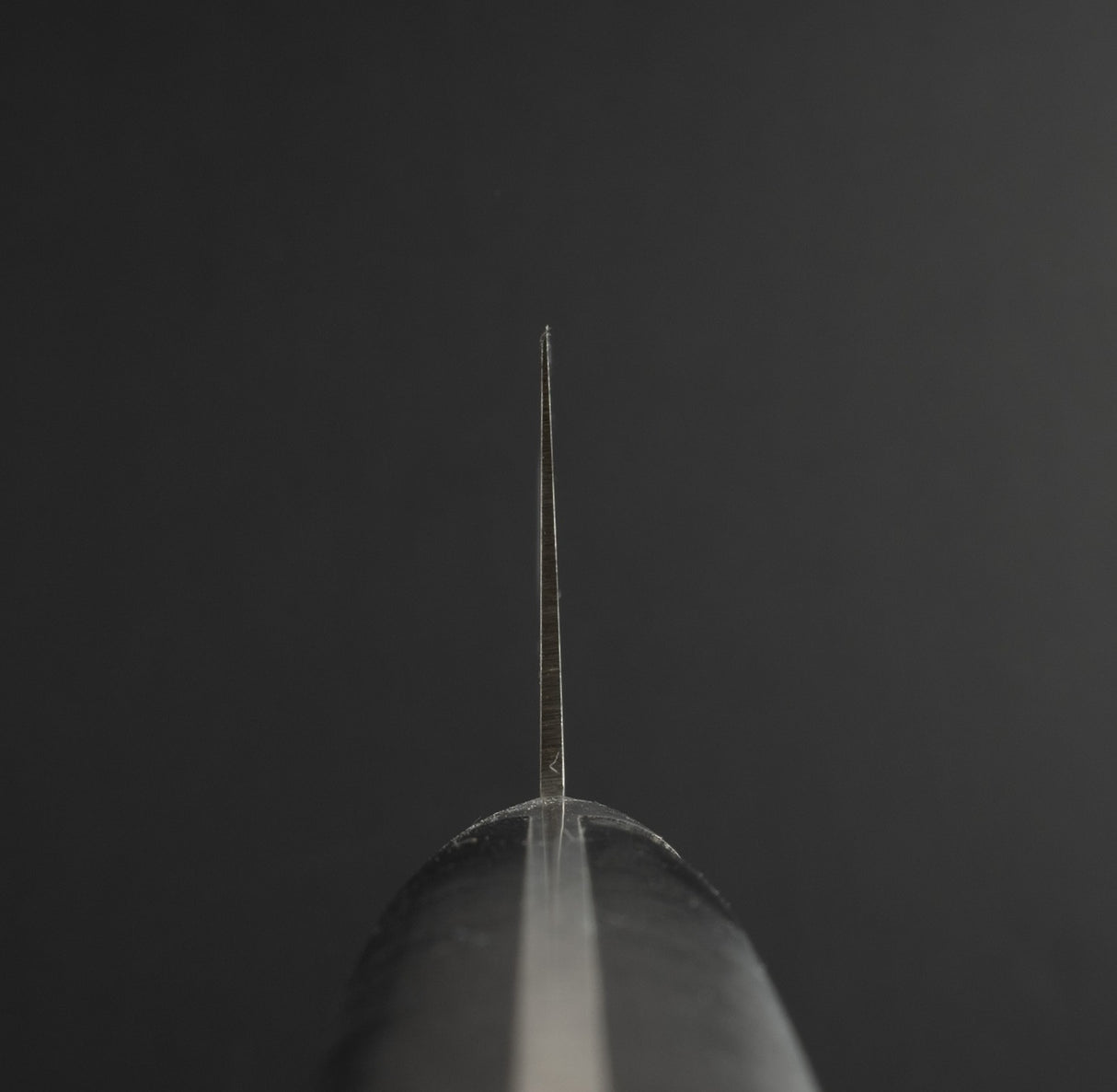 Sakai Takayuki Grand Chef SP Gyuto 240mm