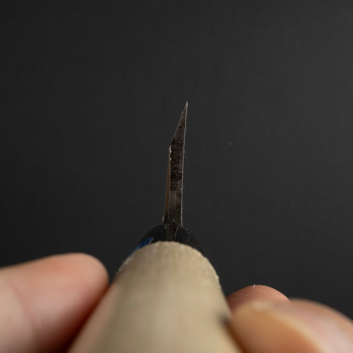 Sakai Takayuki INOX 不鏽鋼 Deba 150mm (5.9")