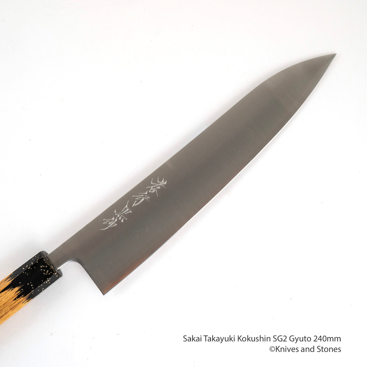 Sakai Takayuki Kokushin SG2 Gyuto 240mm