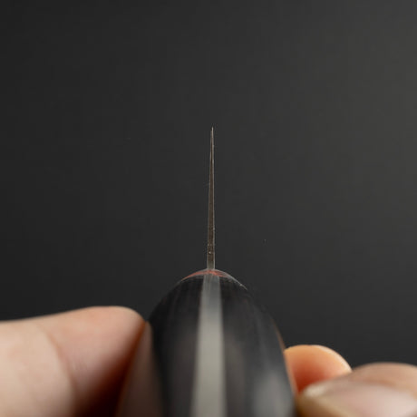 Sakai Takayuki TUS Gyuto 240mm