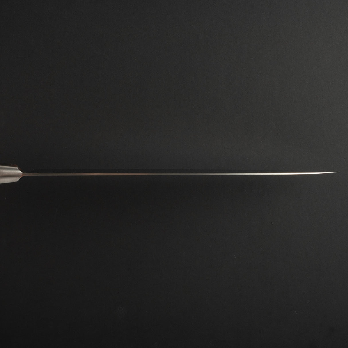 Sakai Takayuki TUS Gyuto 300mm