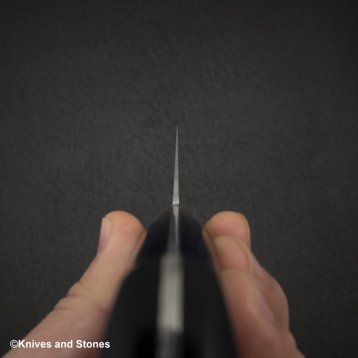 Sakai Takayuki VG10 33層大馬士革牛刀 210毫米 藍色手把 特製