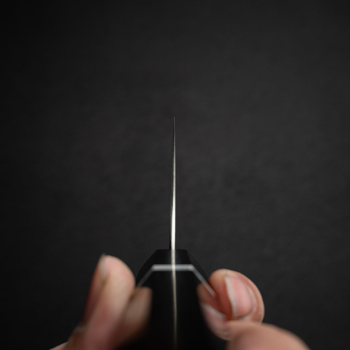 Shibata Koutetsu SG2 Boss Bunka 215mm, Ebony White Ring Handle