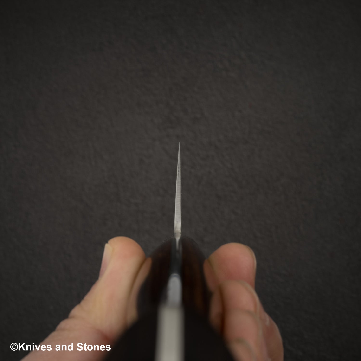 Shigeki Tanaka SG2 Gyuto 210mm 鐵木西式刀柄