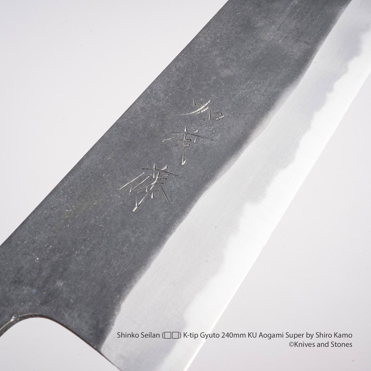 Shinko Seilan (青岚) K-tip Gyuto 240mm KU Aogami Super by Shiro Kamo