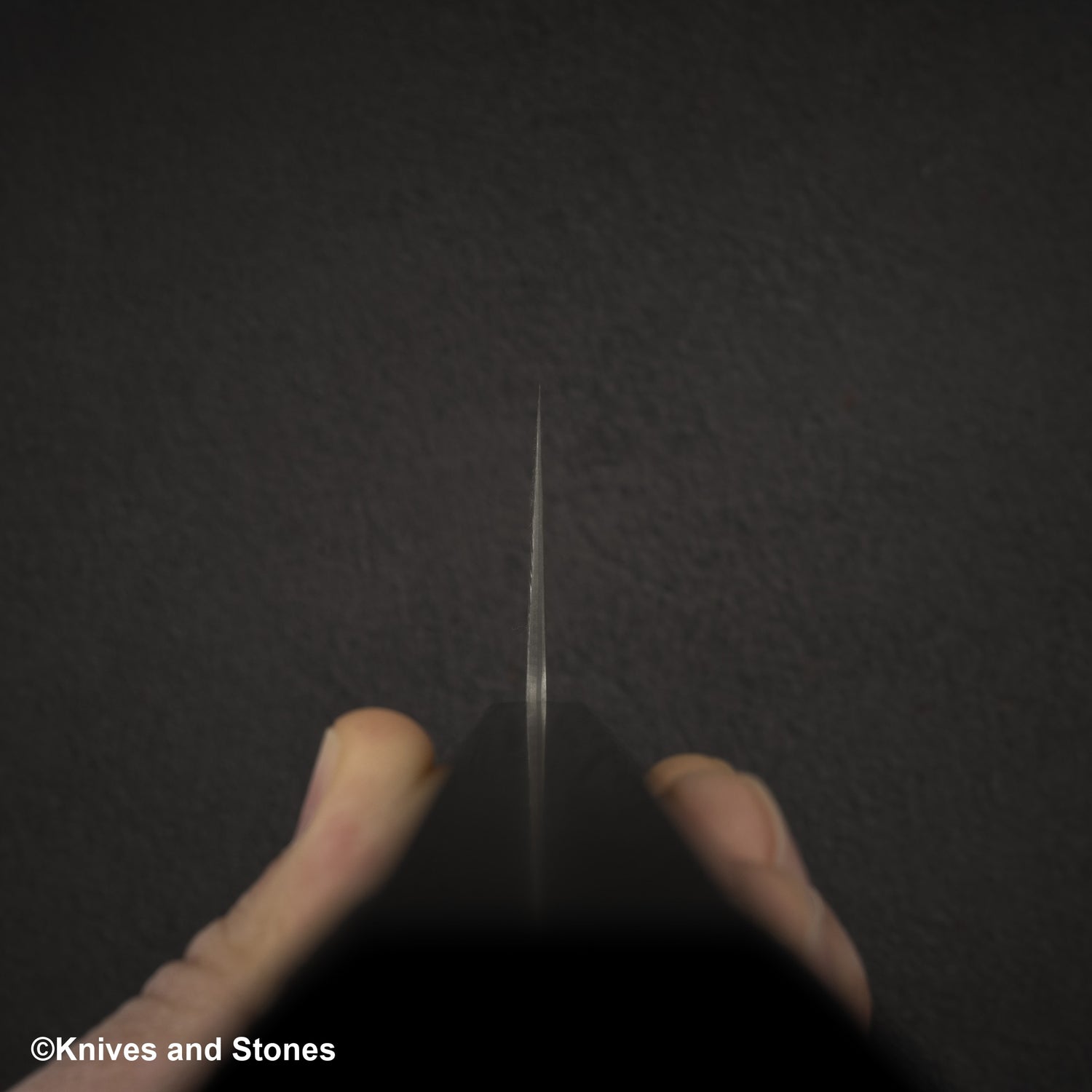 Shiro Kamo 黑雲 SG2 黑色大馬士革牛刀 210mm 烏木