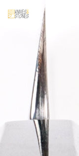 Sukenari SG2 Ni-mai (2 layer) Yanagiba 270mm with Mirror polished Hira, FREE K&S Wenge wood saya