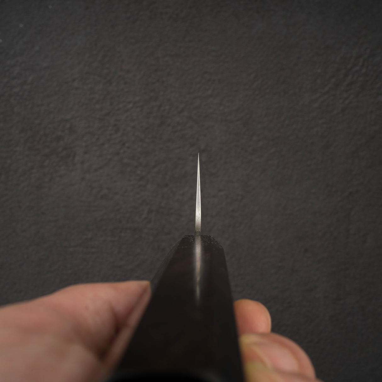 Sukenari ZDP-189 Hairline Gyuto 210mm