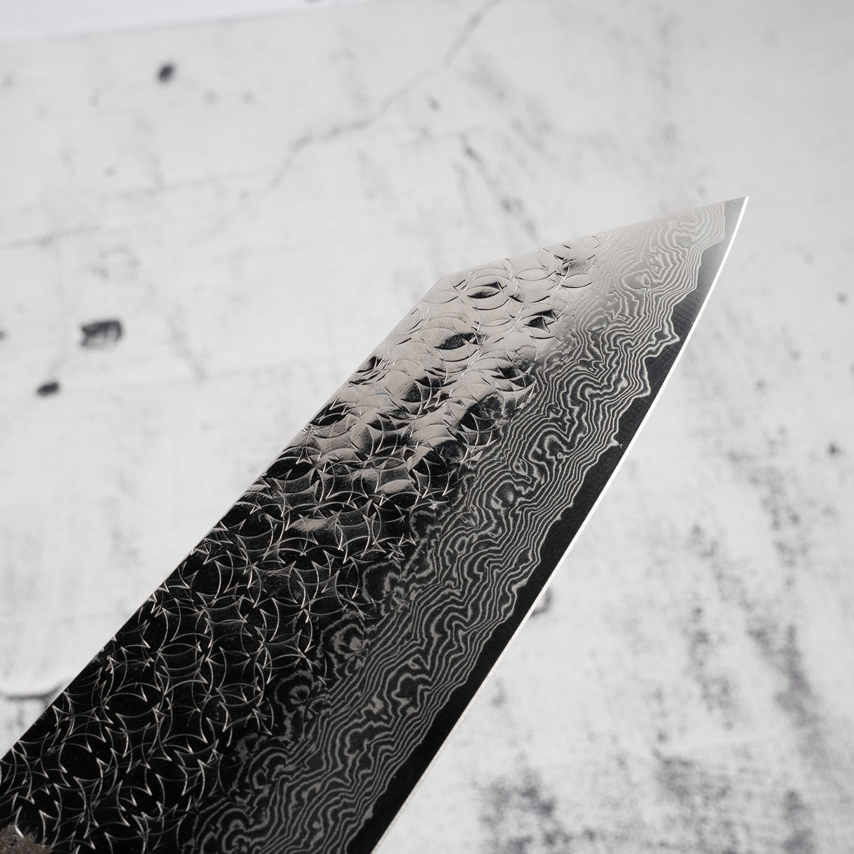 Sakai Takayuki SPG2 Kengata Gyuto 190mm