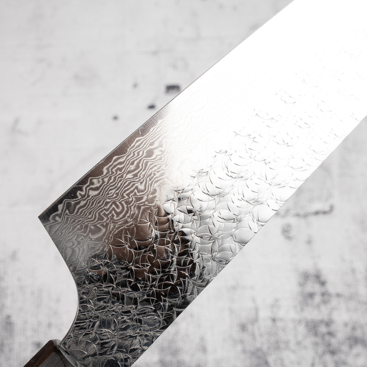 Sakai Takayuki SPG2 Kengata Gyuto 190mm