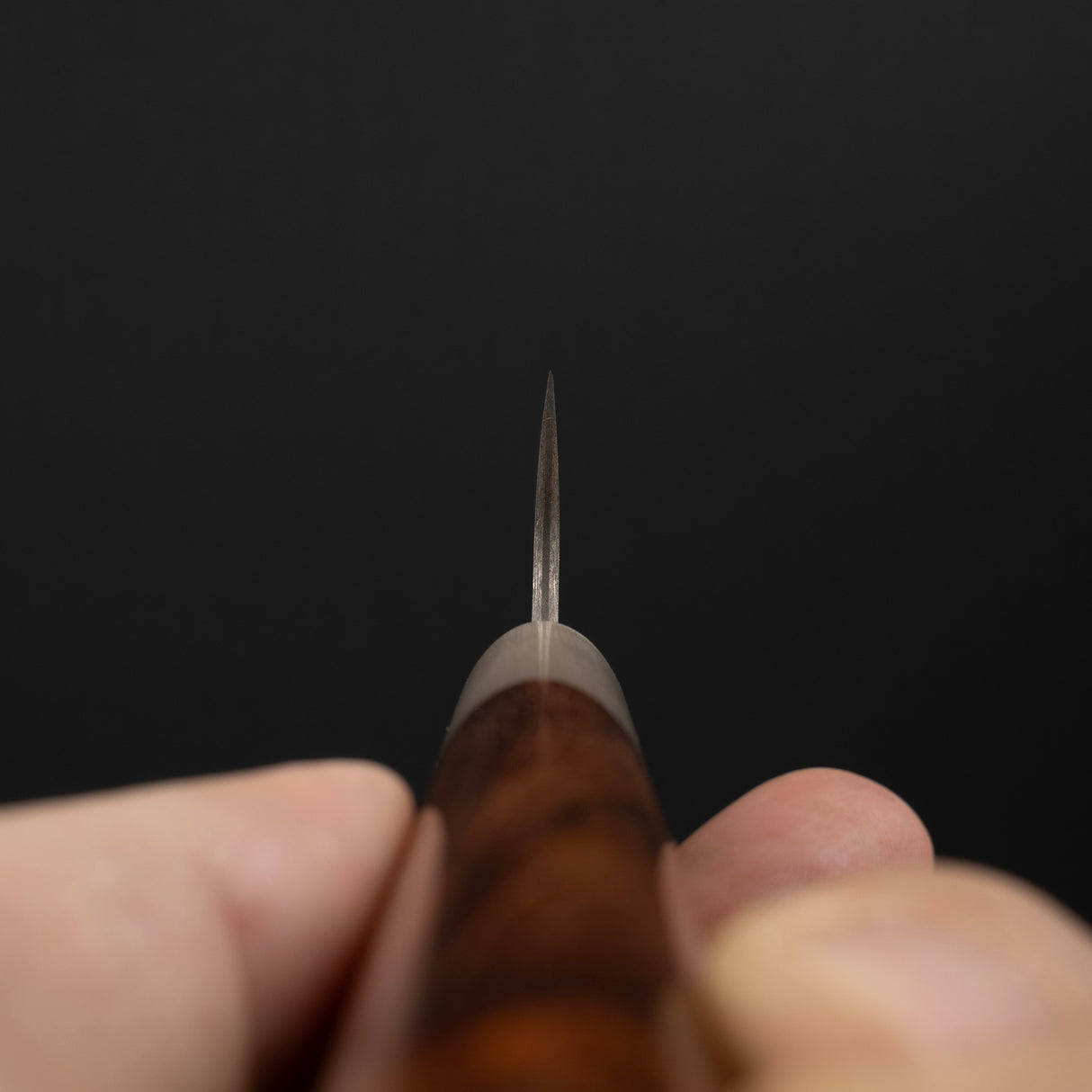 Takeshi Saji SG2 Black Damascus Sujihiki 240mm Heart-shaped Ironwood Handle