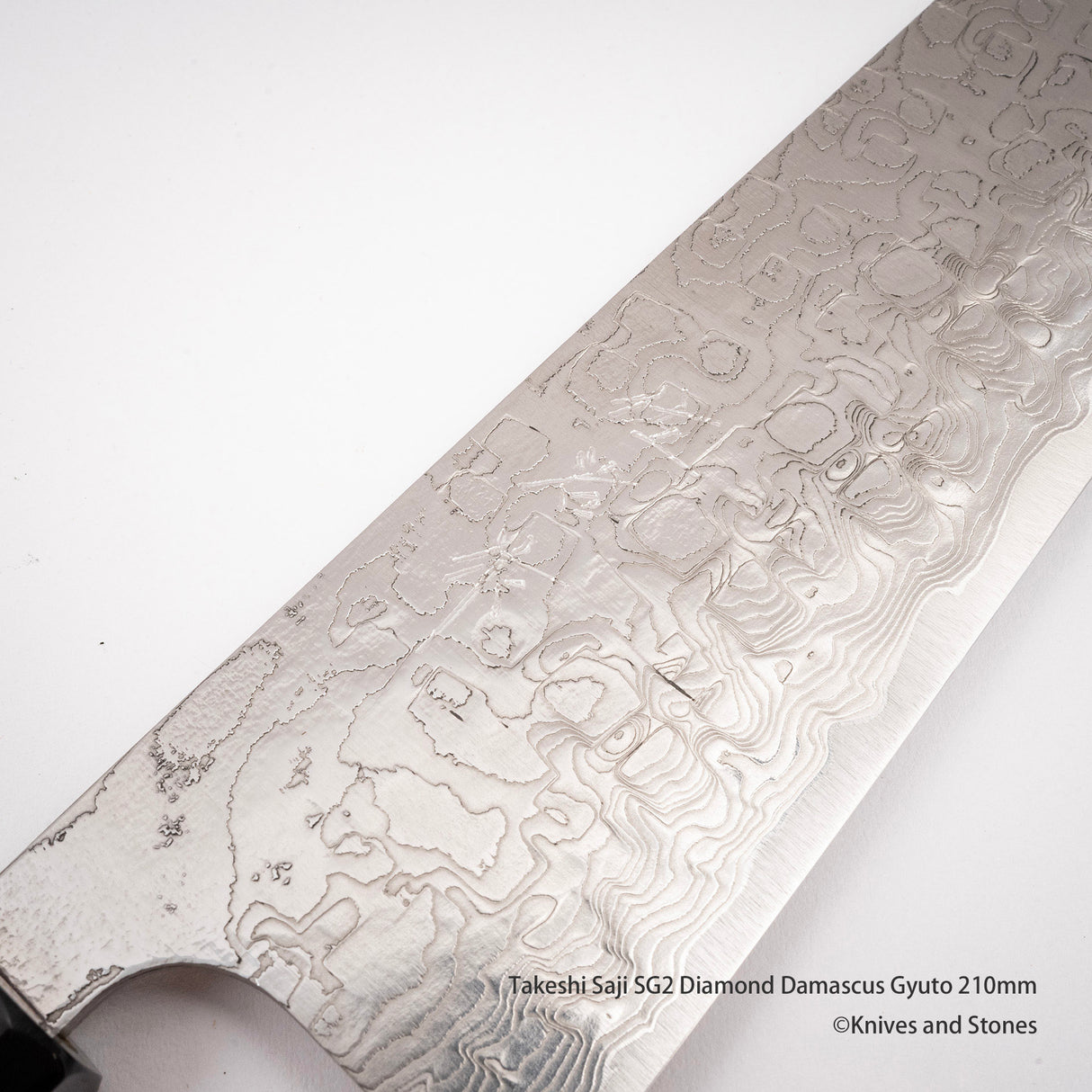 Takeshi Saji SG2 Diamond Damascus Gyuto 210mm