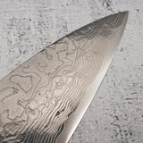 Takeshi Saji SG2 Diamond Damascus Gyuto 210mm Ironwood