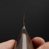 Takeshi Saji SG2 Diamond Damascus Gyuto 210mm Ironwood